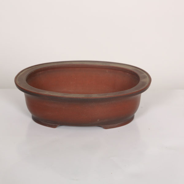 盆栽小鉢：美芸（常滑）小判玉縁付中深　15.5cm*資材