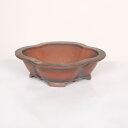 盆栽小鉢:美芸(常滑)モッコ形高台小鉢 16.1cm*資材