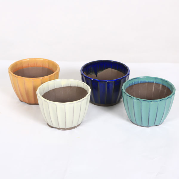 Rakuten - 鉢：国産菊型鉢　小　3号*資材