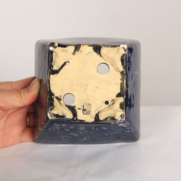 盆栽小鉢：桂雲　正方鉢　11.7cm 【現品】*資材