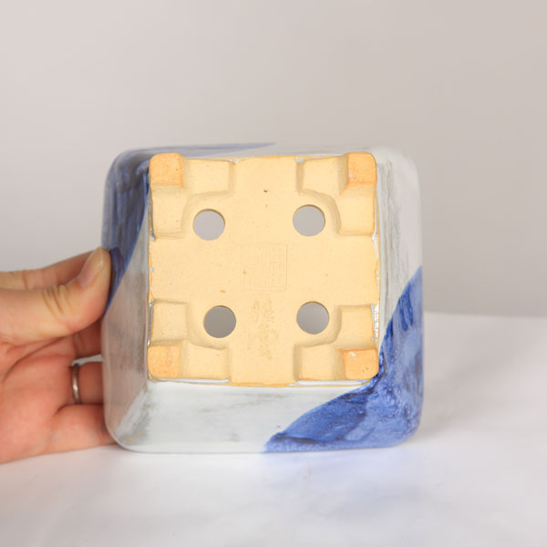 盆栽小鉢：桂雲　正方鉢　11.8cm 【現品】*資材