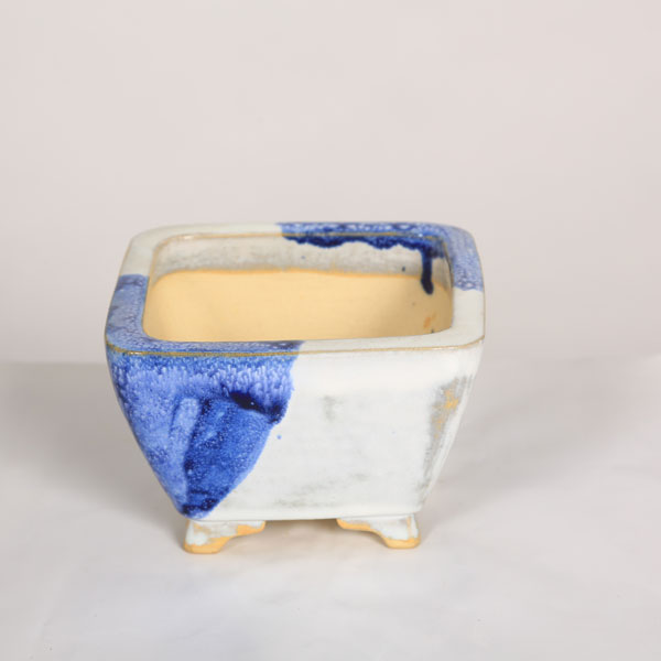 盆栽小鉢：桂雲 正方鉢 11.8cm 【現品】*資材