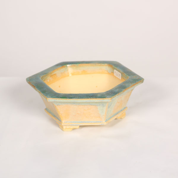 Rakuten - 盆栽小鉢：桂雲　六角鉢　14.4cm 【現品】*資材