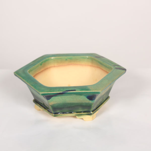 盆栽小鉢：桂雲 六角鉢 14.5cm 【現品】*資材