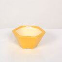 現代小鉢:鴻陽 六角鉢 10.5cm【現】*資材