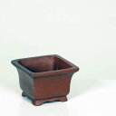 現代小鉢:柴勝 正方鉢 7.8cm【現】*資材
