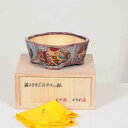 現代小鉢：月香　モッコ鉢　15.2cm【現】*資材