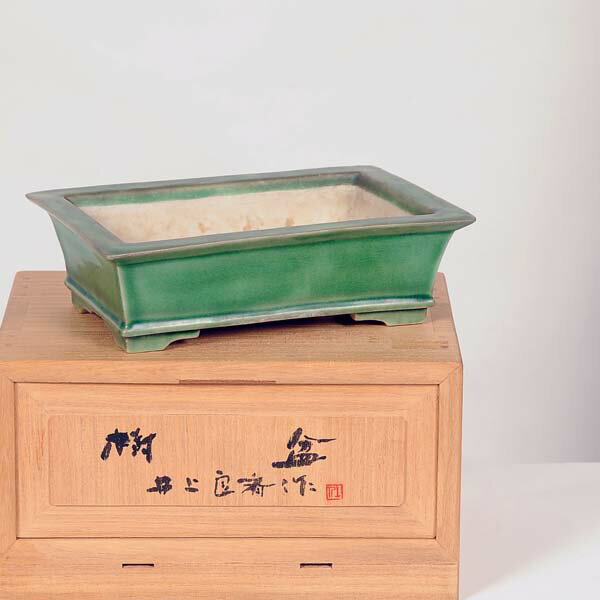 現代小鉢:井上良斎 長方鉢 15.0cm【現】*資材の紹介画像2