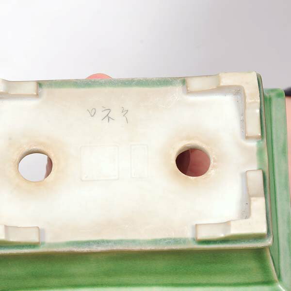 ���微ȭ������ɺء�Ĺ��ȭ��15.0cm�ڸ���*���