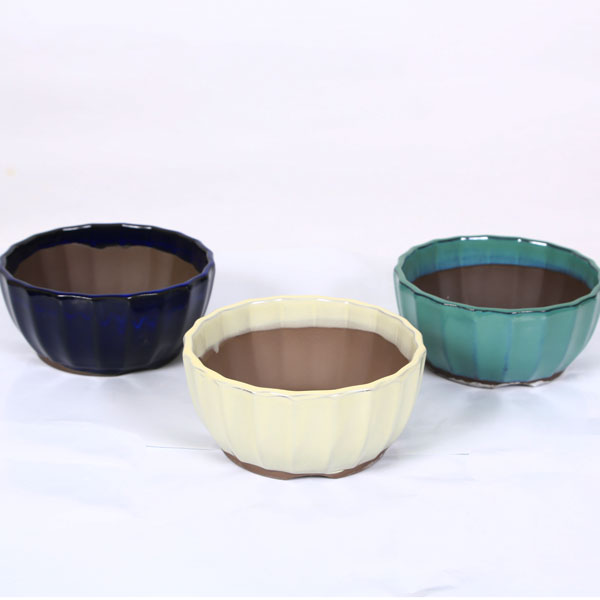 Rakuten - 鉢：国産菊型鉢　5号*資材