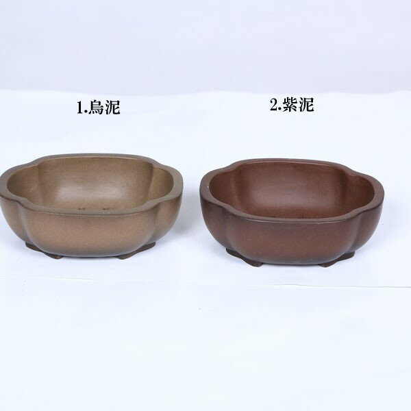 鉢：中国小鉢　モッコ鉢　12.1cm*資材