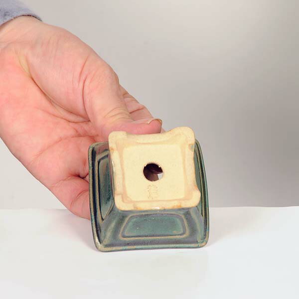 現代小鉢：柴勝　正方鉢　6.4cm【現品】*資材