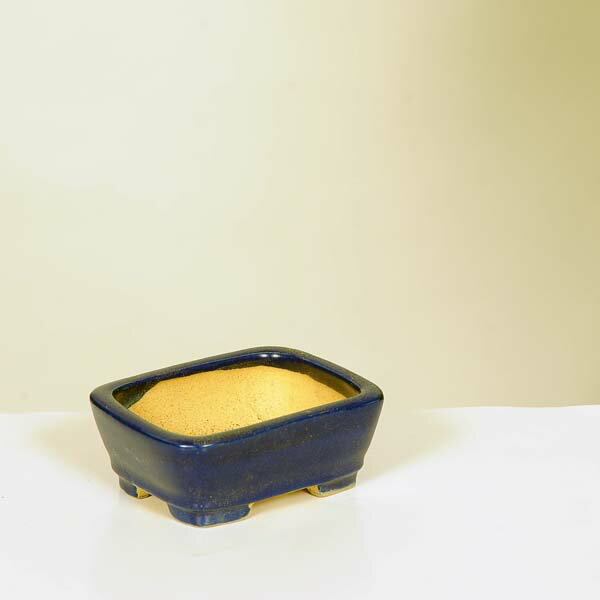 商品説明 柴勝　長方鉢 本名：柴田　勝一 愛知県常滑市出身。 常滑作家のひとりで、タタラと押型による手づくり鉢を作られています。 泥物から釉薬まで幅広い作陶で、樹の育成にも優れた鉢です。 サイズ 鉢径：約7.0cm　高さ：約2.8cm　奥行...