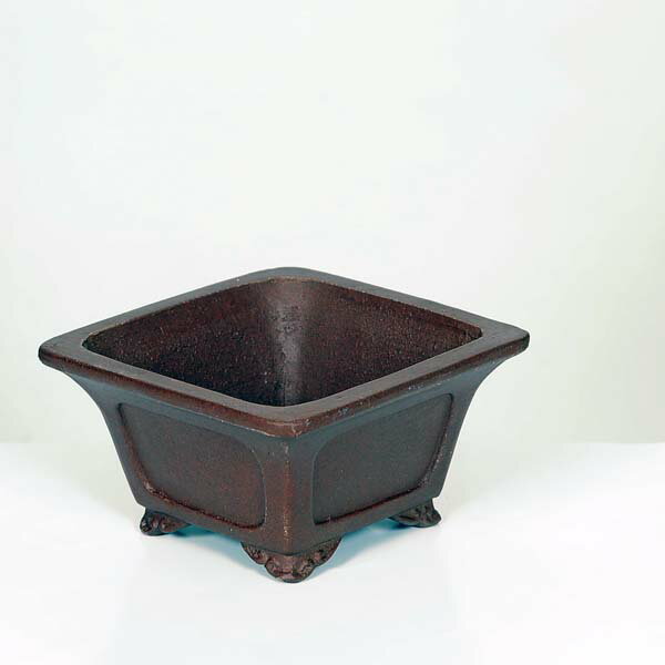 現代小鉢：柴勝 正方鉢 11.9cm【現品】*資材