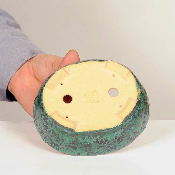 ���微ȭ����ʼ�ҡ��ʱ�ȭ��12.2cm�ڸ���*���