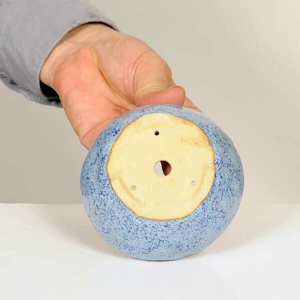 ���微ȭ����ʼ�ҡ���ȭ��9.8cm�ڸ���*���