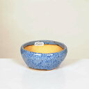 現代小鉢:重兵衛 丸鉢 9.8cm【現】*資材