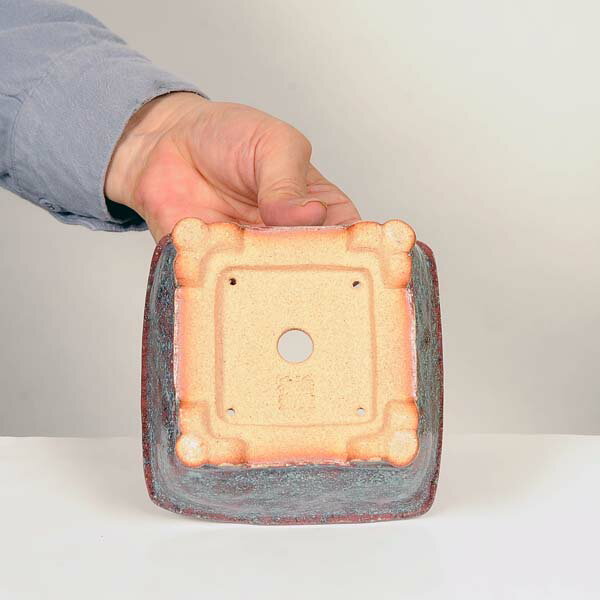 ���微ȭ����ʼ�ҡ�����ȭ��12.2cm�ڸ���*���