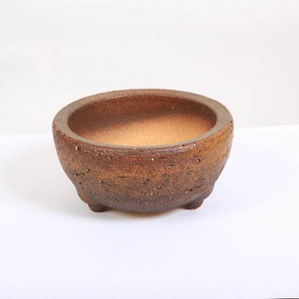 鉢：信楽焼岩石梅鉢　5.5号*資材