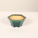 現代小鉢:鴻陽 六角鉢 10.3cm【現】