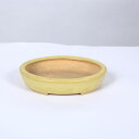 鉢:服部 楕円鉢 16.4cm 【現】 * 資材