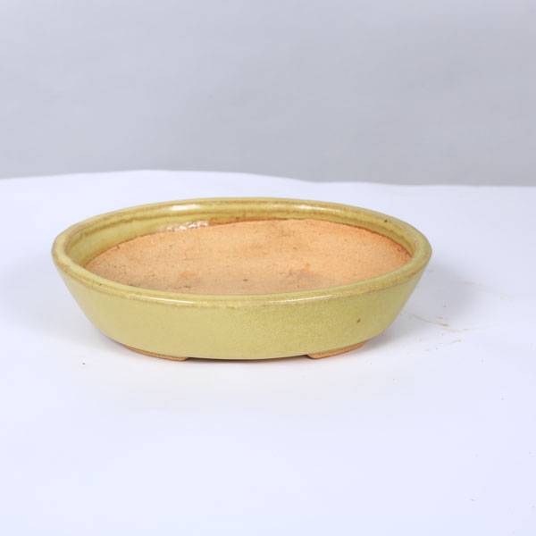 鉢：服部　楕円鉢　19.7cm【現品】 *　資材