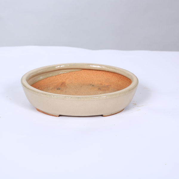 鉢：服部　楕円鉢　16.4cm【現品】*　資材