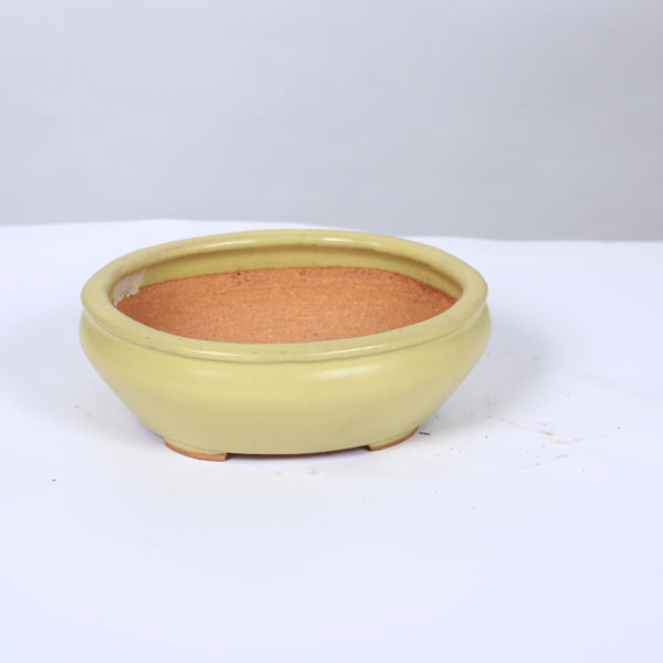 乐天商城 - 鉢：服部　楕円鉢　15.6cm【現品】*　資材
