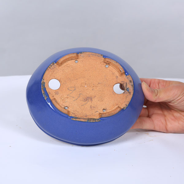 ȭ���������ʱ�ȭ��15.6cm�ڸ��ʡ�* ���