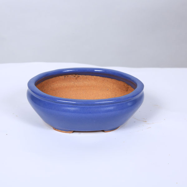 Rakuten - 鉢：服部　楕円鉢　15.6cm【現品】* 資材