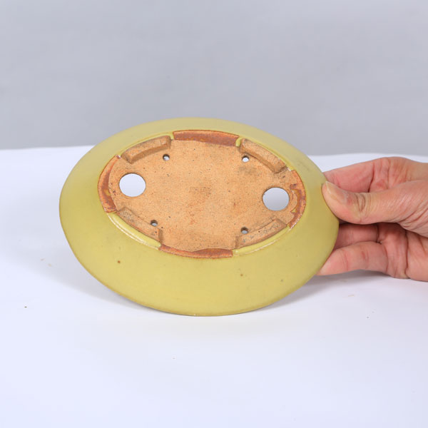 鉢：服部　楕円鉢　16.5cm【現品】*資材