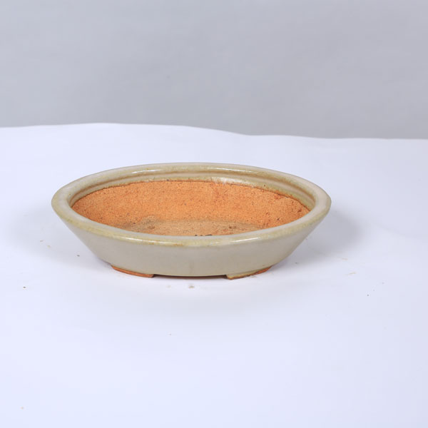 鉢：服部 楕円鉢 16.5cm【現品】*資材