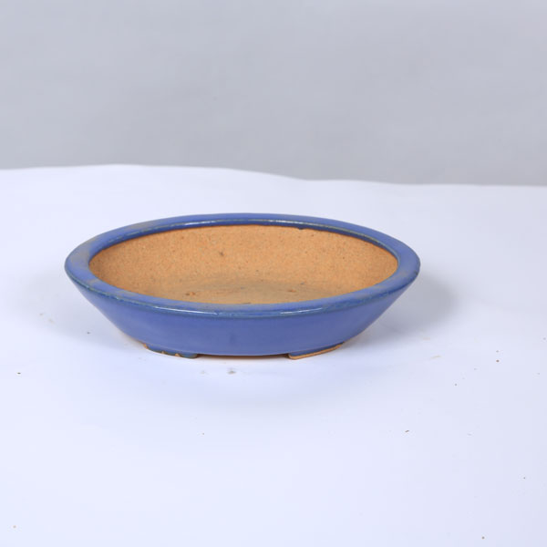 Rakuten - 鉢：服部　楕円鉢　16.7cm【現品】*資材