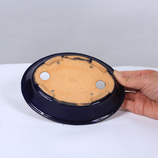 鉢：服部　縁付楕円鉢　16.7cm【現品】*　資材