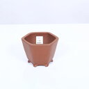 現代小鉢:柴勝 六角鉢 9.8cm【現品】