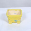 現代小鉢:柴勝 窓付正方ソリ鉢 11.5cm【現品】