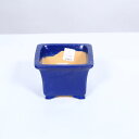 現代小鉢:柴勝 正方ソリ鉢 9.8cm【現品】