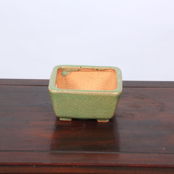 Rakuten - 鉢：服部　正方鉢　9.5cm【現品】*　資材