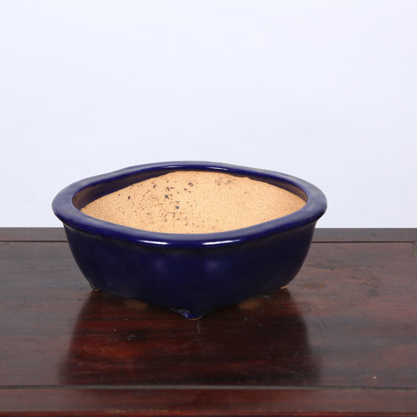 鉢：服部　モッコ鉢　16cm【現品】*　資材