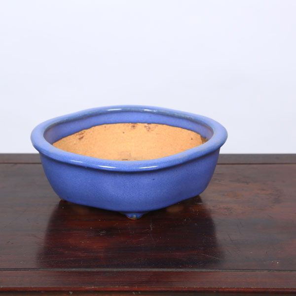 鉢：服部　モッコ鉢　16cm*　資材