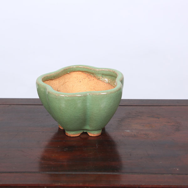 Rakuten - 鉢：服部　輪花鉢　10.7cm【現品】*　資材