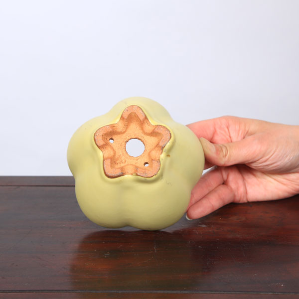 鉢：服部　輪花鉢　10.7cm【現品】*　資材