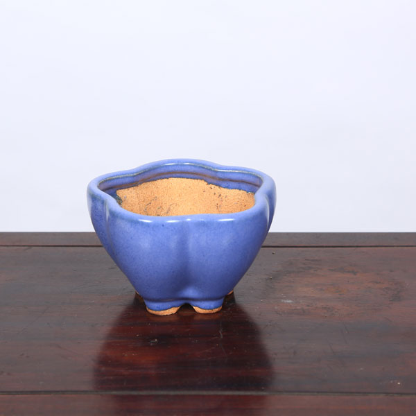 鉢：服部　輪花鉢　10.7cm【現品】*　資材