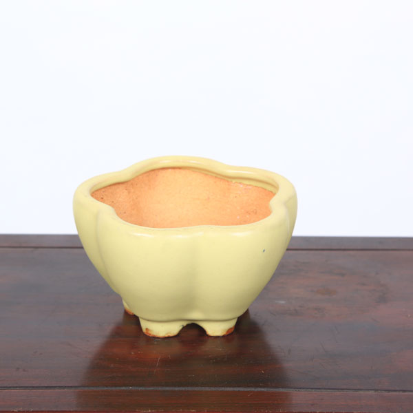 Rakuten - 鉢：服部　輪花鉢　13.3cm【現品】*　資材