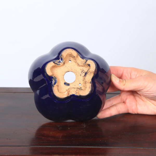 鉢：服部　輪花鉢　13.3cm【現品】*　資材