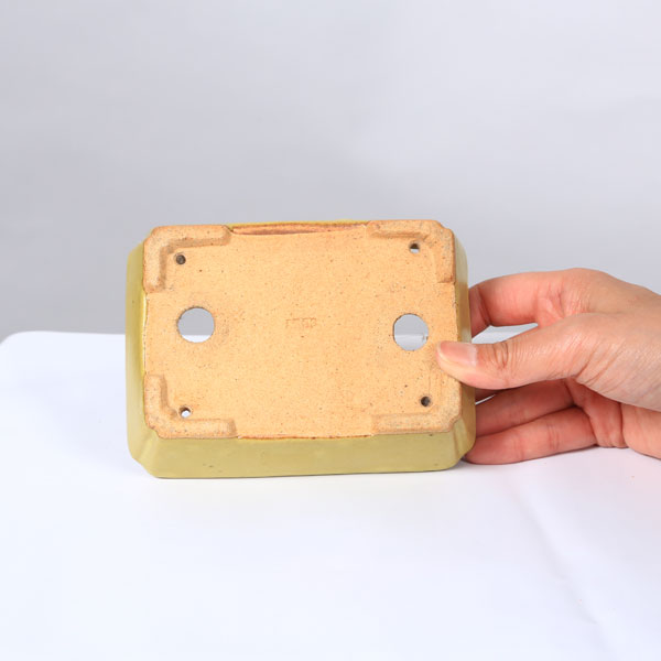 ȭ��������������Ĺ��ȭ��14cm�ڸ��ʡ�*�����