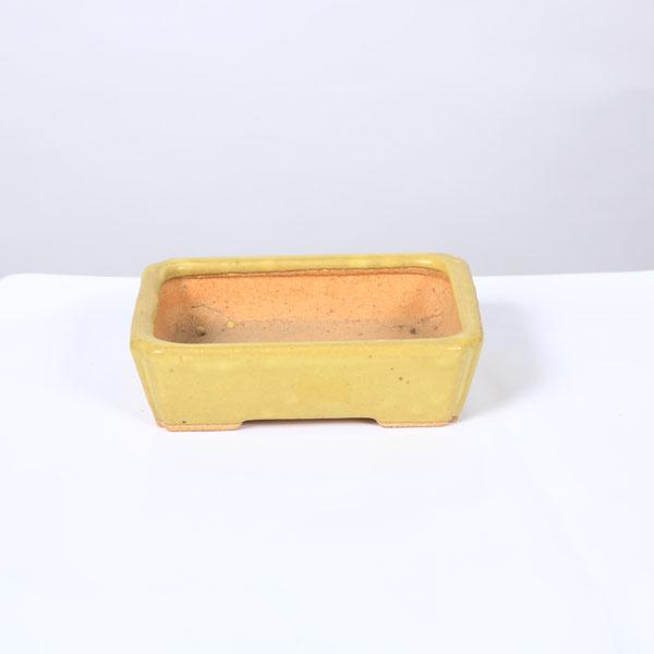鉢：服部　隅入り長方鉢　14cm【現品】*　資材