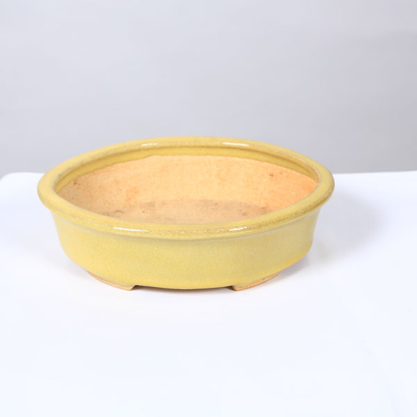 鉢：服部 縁付楕円鉢 18.7cm【現品】* 資材