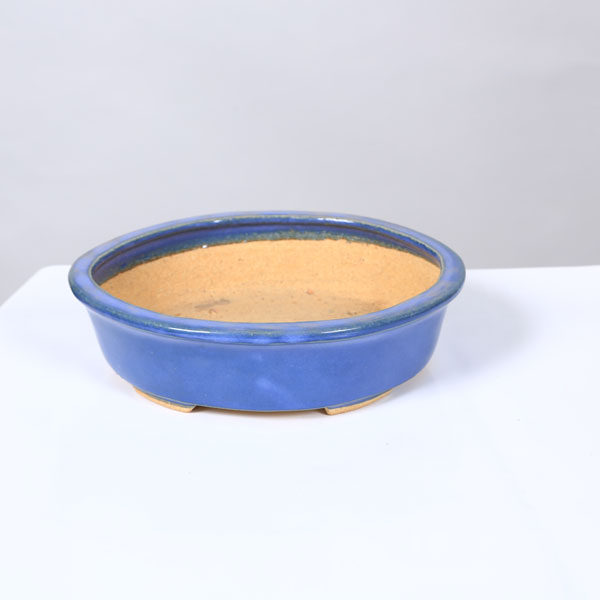 Rakuten - 鉢：服部　縁付楕円鉢　18.6cm【現品】*　資材