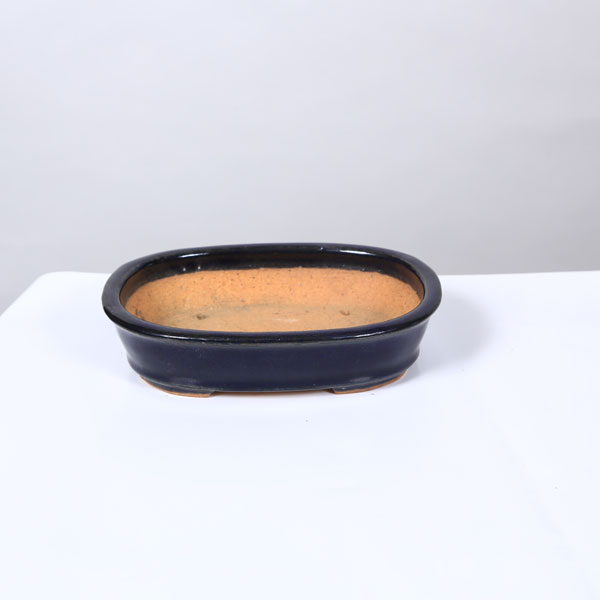 Rakuten - 鉢：服部　縁付楕円鉢　15.9cm【現品】*　資材